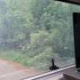 20260505_090322.jpg