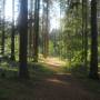 20260520_16395810.jpg