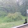 20260506_080759.jpg
