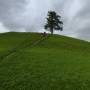 dji_20260612125349_0082_d.jpg
