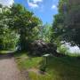 dji_20260604123838_0094_d.jpg