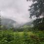 dji_20260610183517_0143_d.jpg