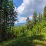 dji_20260608125956_0065_d.jpg