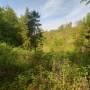 dji_20260510121315_0122_d.jpg
