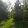 dji_20260510104831_0007_d.jpg