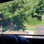 20260604_073936.jpg