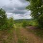 dji_20260505121329_0124_d.jpg