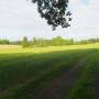 20260521_16415067.jpg