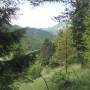 20260607_12050815.jpg