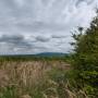 dji_20260505123958_0144_d.jpg